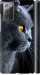Чехол Красивый кот для Samsung Galaxy Note 20