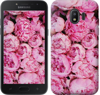 

Чохол Півонії v3 на Samsung Galaxy J2 2018 656481