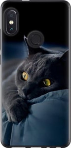 Чохол Димчастий кіт для Xiaomi Redmi Note 5 Pro