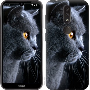

Чехол Красивый кот для Nokia 4.2 762627