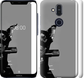 

Чохол Доберман на Nokia 8.1 763471