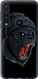 

Чехол Обезьяна в ярости для Motorola One Macro 1631026
