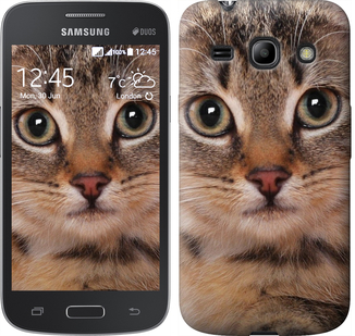 

Чехол Полосатый котик для Samsung Galaxy Star Advance G350E 175569