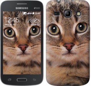 Чехол Полосатый котик для Samsung Galaxy Star Advance G350E