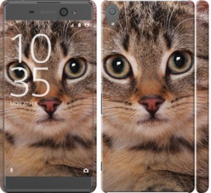 Чехол Полосатый котик для Sony Xperia XA Dual
