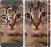 Чехол Полосатый котик для Sony Xperia XA F3112