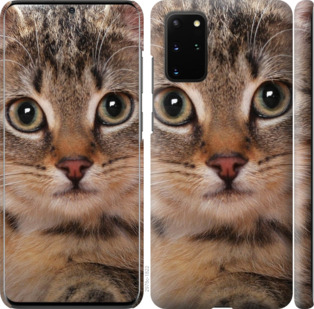 

Чохол Смугастий котик на Samsung Galaxy S20 Plus 879196