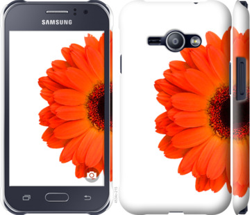 

Чехол Гербера 1 для Samsung Galaxy J1 Ace J110H 802418