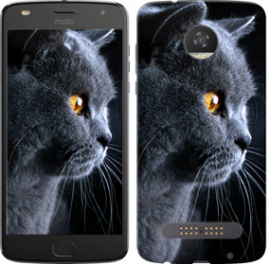 Чехол Красивый кот для Motorola Moto Z2 Play