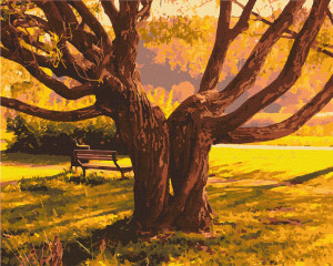 Картина по номерам. Art Craft "Старейшина парка" 40*50 см 10528-AC (Разноцветный)