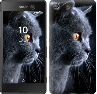 

Чехол Красивый кот для Sony Xperia M5 Dual 117055