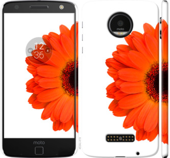 

Чехол Гербера 1 для Motorola MOTO Z 802853