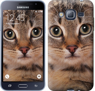 

Чохол Смугастий котик на Samsung Galaxy J3 Duos (2016) J320H 175555