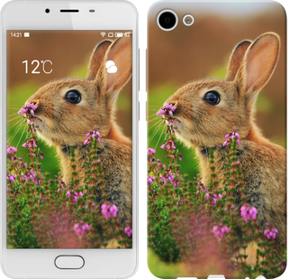 

Чехол Кролик и цветы для Meizu U10 150042