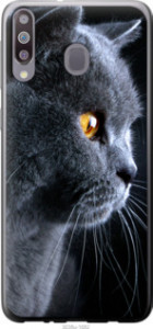 Чехол Красивый кот для Samsung Galaxy M30