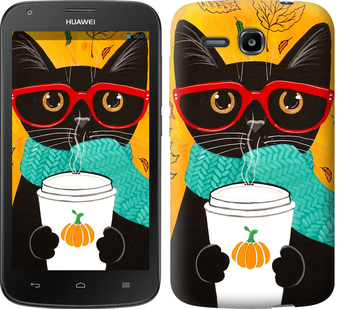 

Чехол Осенний кот для Huawei Ascend Y600 639870