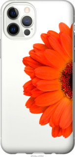 

Чехол Гербера 1 для iPhone 12 Pro 1589672
