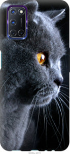 Чехол Красивый кот для Oppo A72