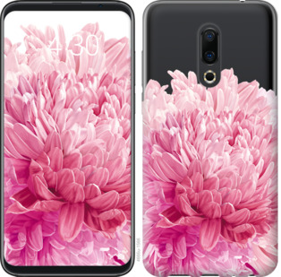 

Чохол Хризантема на Meizu 16 Plus 844396