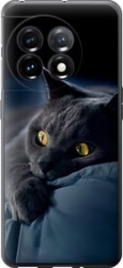 Чехол Дымчатый кот для OnePlus 11