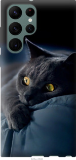 Чехол Дымчатый кот для Samsung Galaxy S22 Ultra