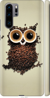 

Чехол Сова из кофе для Huawei P30 Pro 1019996
