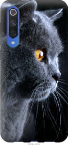 Чехол Красивый кот для Xiaomi Mi 9 SE