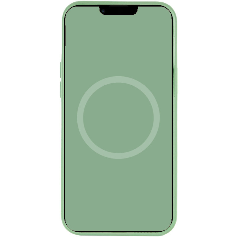 Уценка Чехол Silicone case (AAA) with Magsafe and Animation для Apple iPhone 12 Pro Max (6.7") (Дефект упаковки / Зеленый / Pistachio) в магазине vchehle.ua
