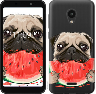 

Чехол Мопс и арбуз для Meizu C9 843692