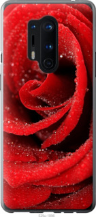 

Чохол Червона троянда на OnePlus 8 Pro 1574188