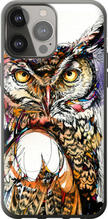 

Чехол Сова 3 для iPhone 13 Pro Max 1610083
