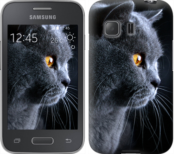 

Чехол Красивый кот для Samsung Galaxy Young 2 G130h 242621