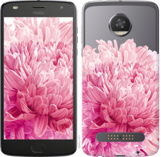 

Чехол Хризантема для Motorola Moto Z2 Play 844633