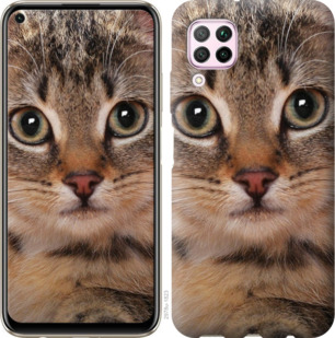 Чехол Полосатый котик для Huawei Nova 6SE