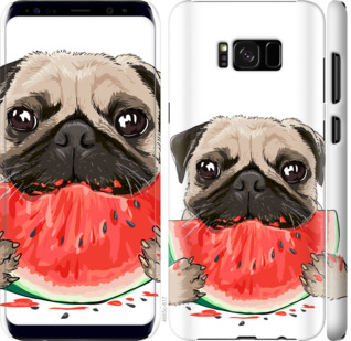 

Чехол Мопс и арбуз для Samsung Galaxy S8 Plus 843394