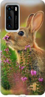 

Чохол Кролик і квіти на Vivo X50 1086111