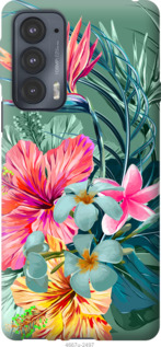 

Чехол Тропические цветы v1 для Motorola Edge 20 1231065