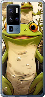 

Чехол Веселая жаба для Vivo X50 Pro Plus 1642407