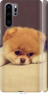 

Чохол Boo 2 на Huawei P30 Pro 948740