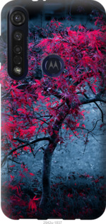 

Чохол Дерево з яскравими листям на Motorola G8 Plus 1117408