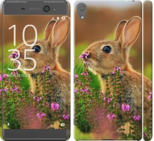 Чехол Кролик и цветы для Sony Xperia XA