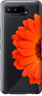 

Чехол Гербера 1 для Asus ROG Phone 5 1589668