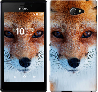 

Чохол Руда лисиця на Sony Xperia M2 D2305 78707