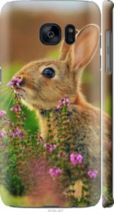 Чехол Кролик и цветы для Samsung Galaxy S7 Edge G935F