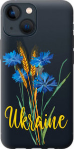 Чехол Ukraine v2 для iPhone 13 Mini