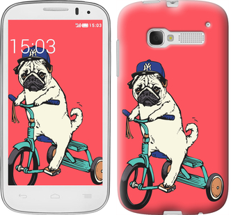 

Чохол Мопс на велосипеді на Alcatel One Touch Pop C5 5036D 658522