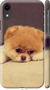 

Чехол Boo 2 для iPhone XR 948614