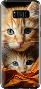 Чехол Котики 2 для Samsung Galaxy S8 Plus
