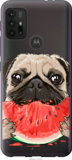 

Чохол Мопс і кавун на Motorola Moto G20 1233853