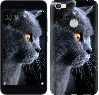 

Чехол Красивый кот для Xiaomi Redmi Note 5A Prime 626666